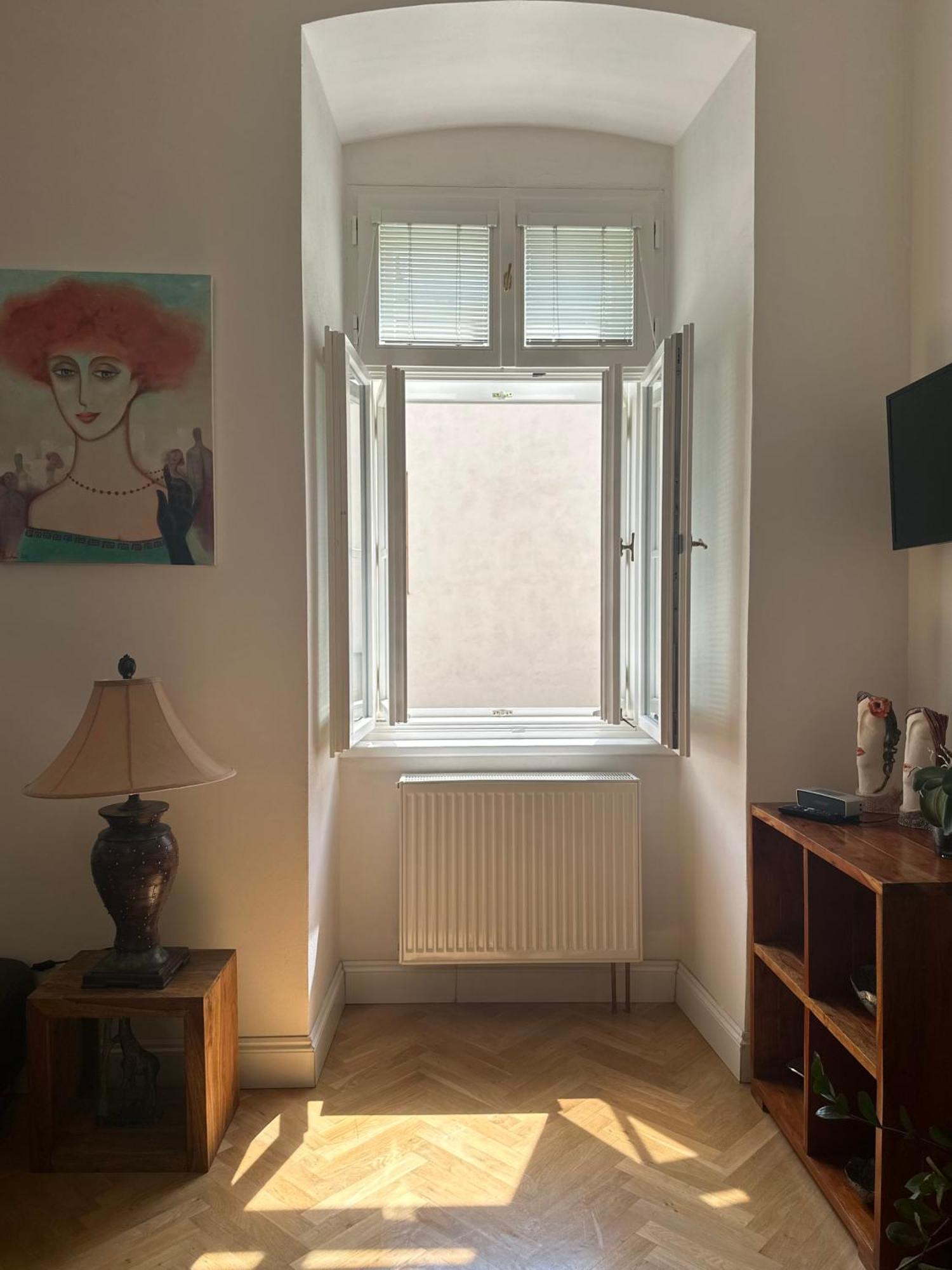Comfort Apartment Brno-City Center Εξωτερικό φωτογραφία