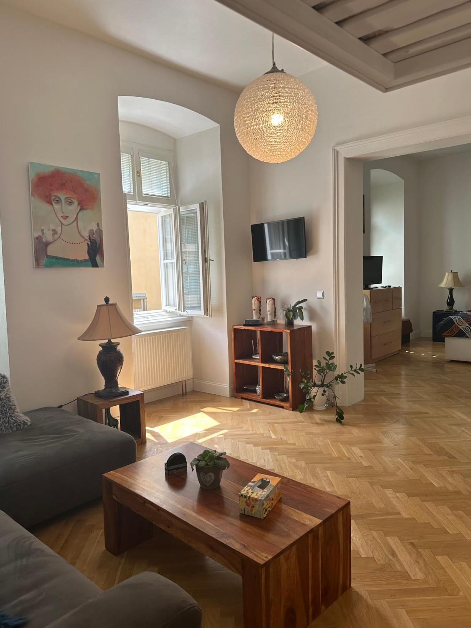 Comfort Apartment Brno-City Center Εξωτερικό φωτογραφία